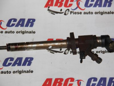 Injector Peugeot 407 2004-2010 2.0 HDI 9658194180